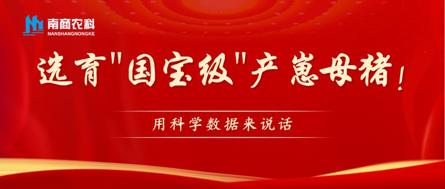 科学数据助力"国宝级"产崽母猪选育：数字化时代下的种畜选育新思路