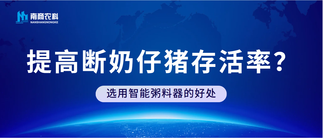 如何提高断奶仔猪存活率？选用智能粥料器的好处